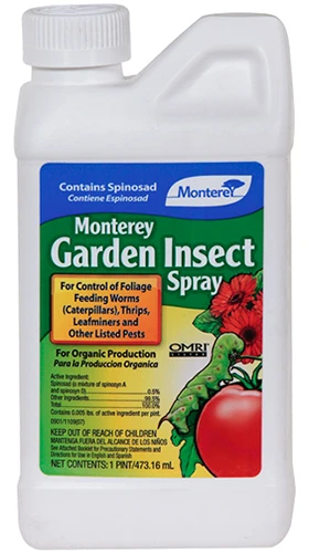 A close up of a bottle of Monterey Garden Insect Spray isolated on a white background.