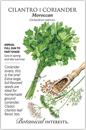 A close up of a packet of Moroccan coriander seeds with text to the left of the frame and a hand-drawn illustration to the right.