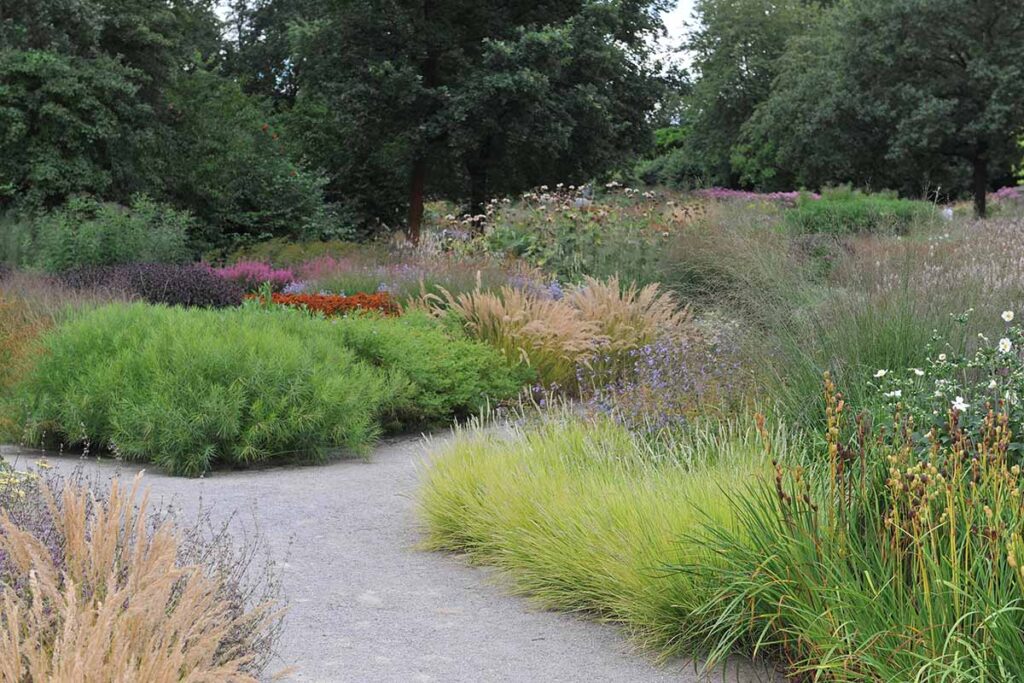 A horizontal image of neat perennial borders lining a pathway through a park.