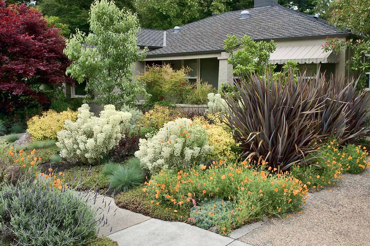 A horizontal image of a front yard inspired by naturalist landscaping design.