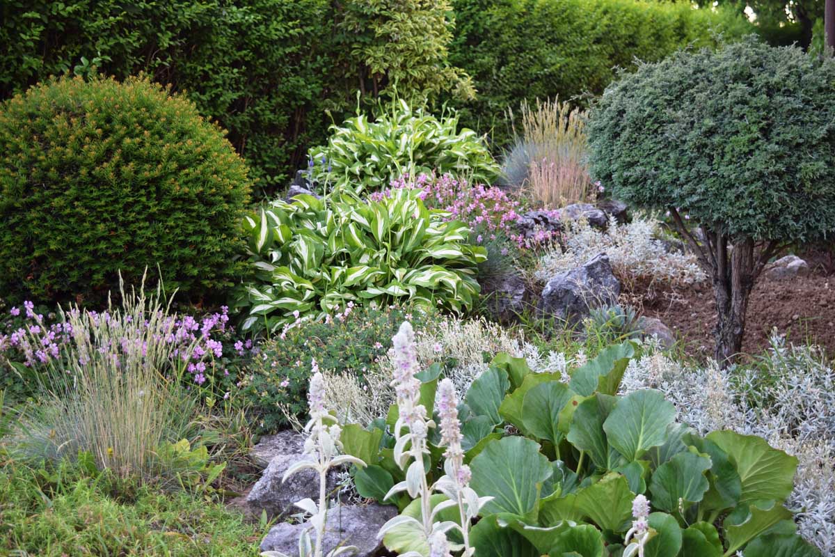A beautiful garden area featuring a mixture of vegetables, flowers, and ornamental shrubs.