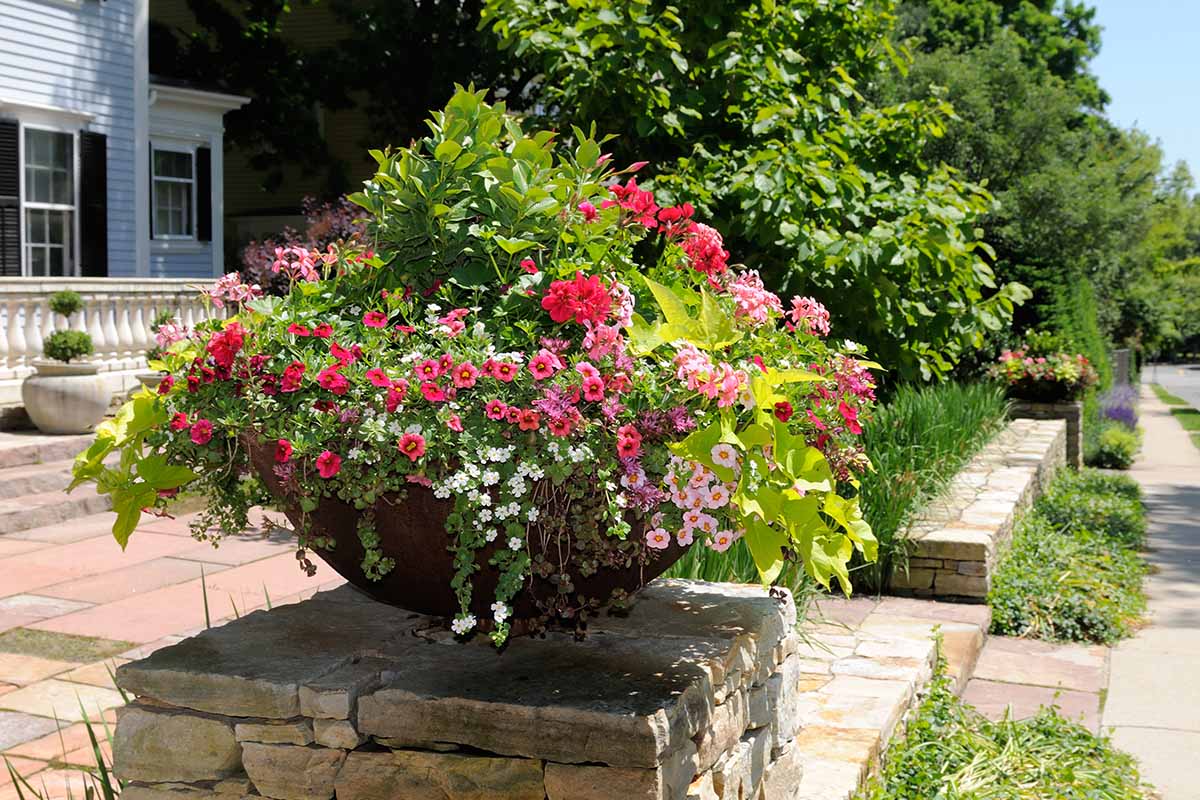 A horizontal image of colorful flowers growing in a large planter outside the entrance to a home.