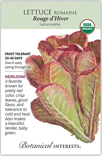 A vertical closeup image of the product label for 'Rouge d'Hiver' lettuce.