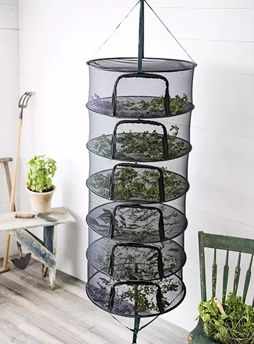 A close up of a mesh herb drying rack hanging indoors.