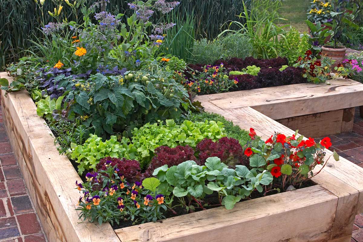 A raised garden bed made from square timbers featuring herbs, vegetables, and flowers.