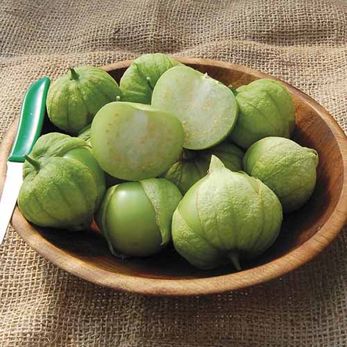 A close up of a wooden bowl filled with whole and sliced 'Toma Verde' tomatillos.