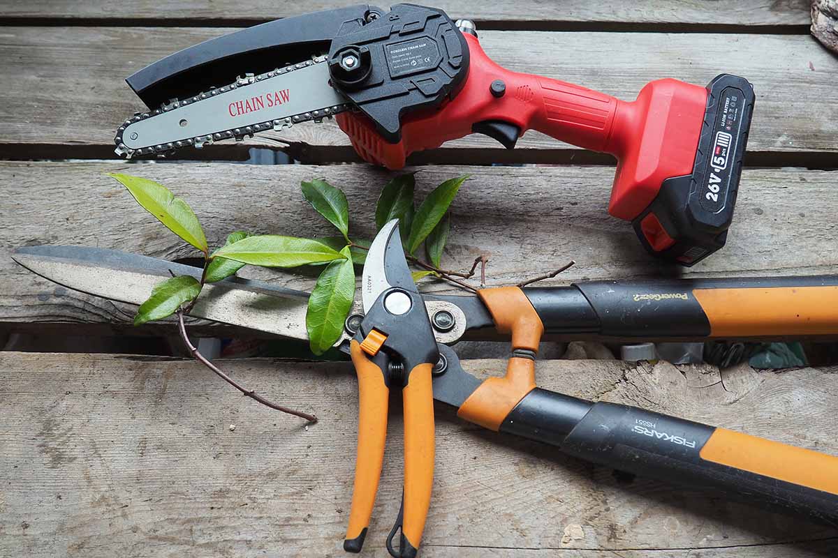 A close up horizontal image of gardening tools set on a wooden surface outdoors.