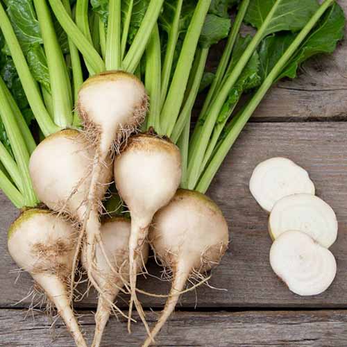 A square image of six white beets stacked next to three slices on a wooden surface outdoors.