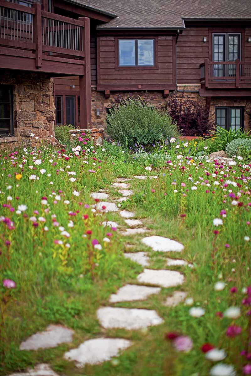 A vertical image of a pathway through a wildflower meadow leading to a large imposing residence.