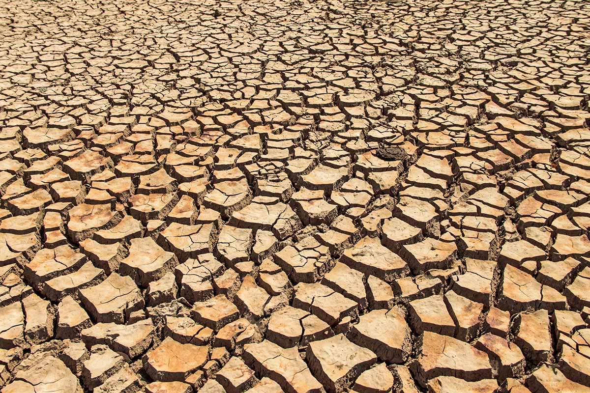 A horizontal image of cracked and dried soil.
