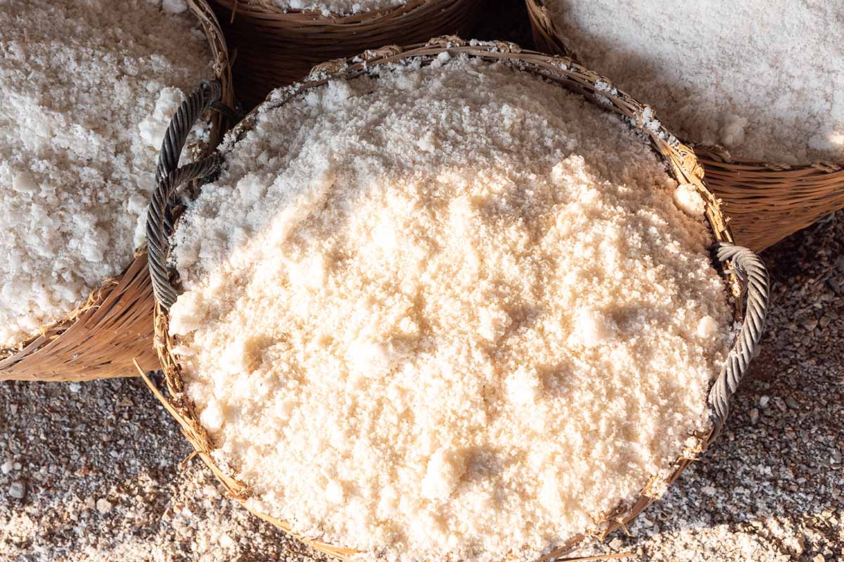 A close up horizontal image of baskets filled with salt.
