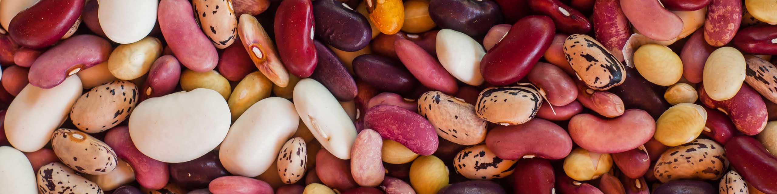 Different types of dried beans in a mix.