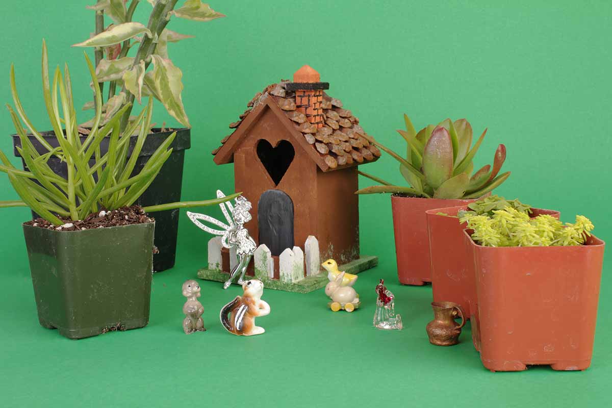 A horizontal image of plants in pots and figurines isolated on a green background.