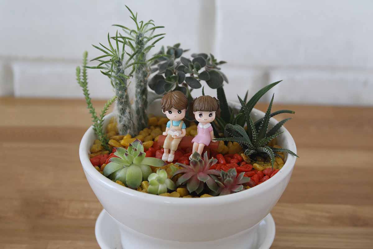 A horizontal image of a small white pot with succulents and two figurines, set on a wooden surface.