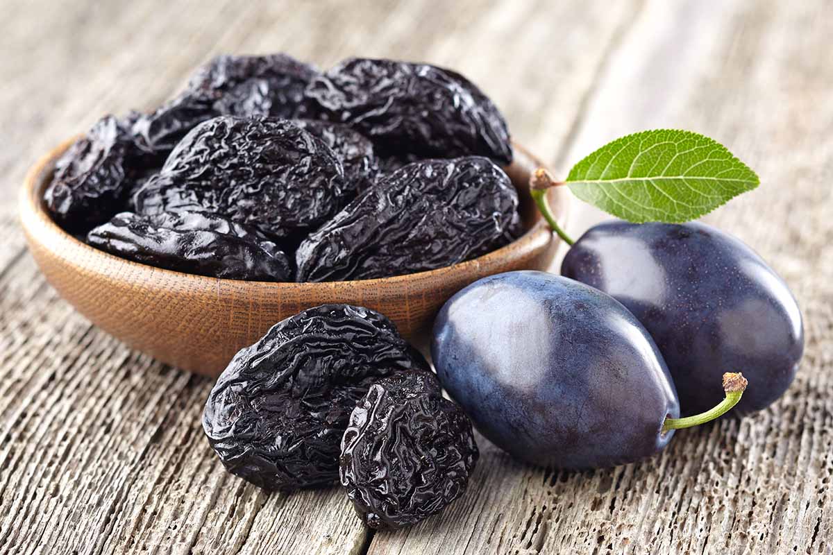 A close up horizontal image of a bowl of prunes next to. a couple of ripe plums, set on a wooden surface.