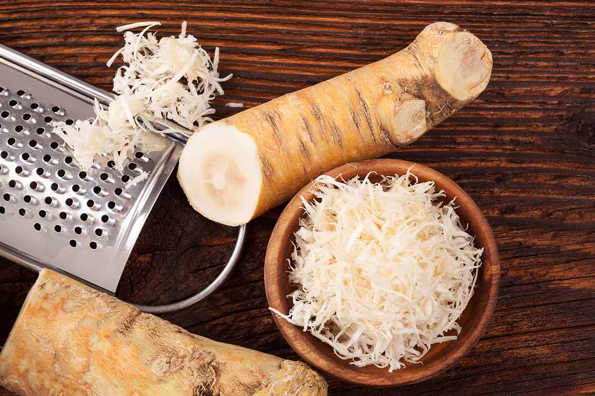 A close up horizontal image of grated horseradish roots in a small bowl with a grater set on a wooden surface.