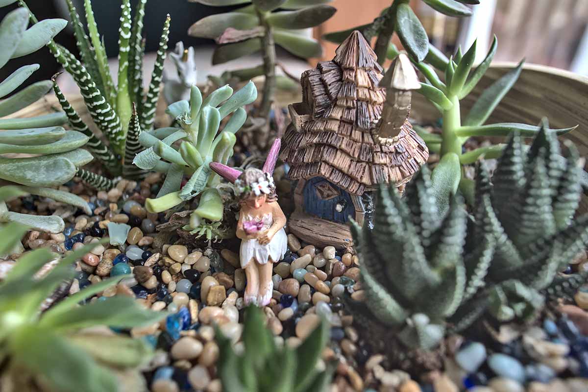 A close up horizontal image of a whimsical succulent fairy garden in a wooden container.