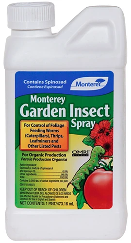 A close up of a bottle of Monterey Garden Insect Spray isolated on a white background.