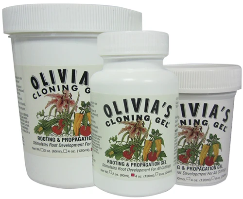 A close up of three pots of Olivia's Cloning Gel isolated on a white background.