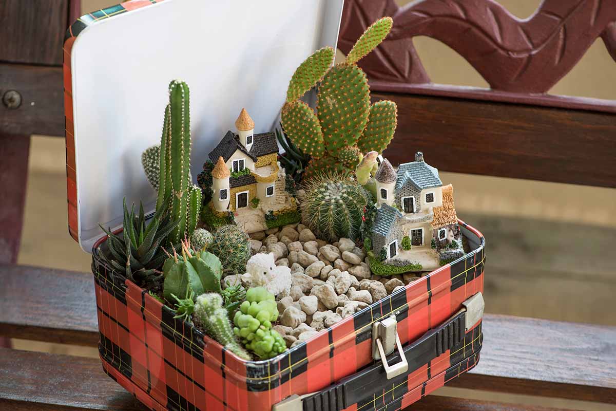 A horizontal image of a cute little fairy garden in a metal lunch box type container.