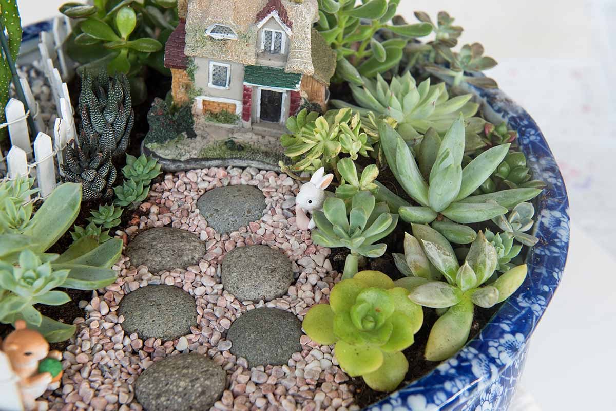A close up horizontal image of a cute fairy garden with a house, a rabbit, and a stone pathway, surrounded by succulents.
