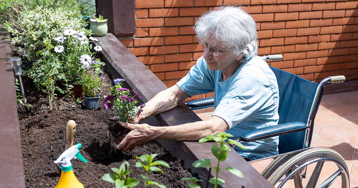 3 Ways to Make Gardening with Arthritis Easier