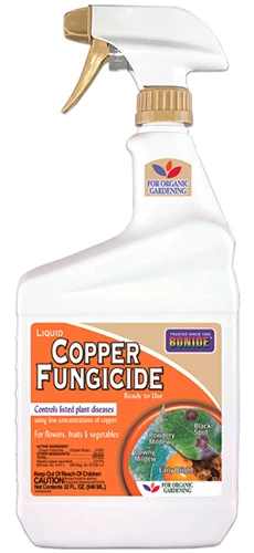 Um close-up de uma garrafa de fungicida de cobre Bonide isolado em um fundo branco.
