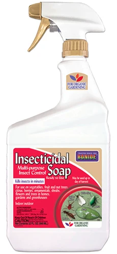 A close up of a bottle of Bonide insecticidal soap pictured on a soft focus background.