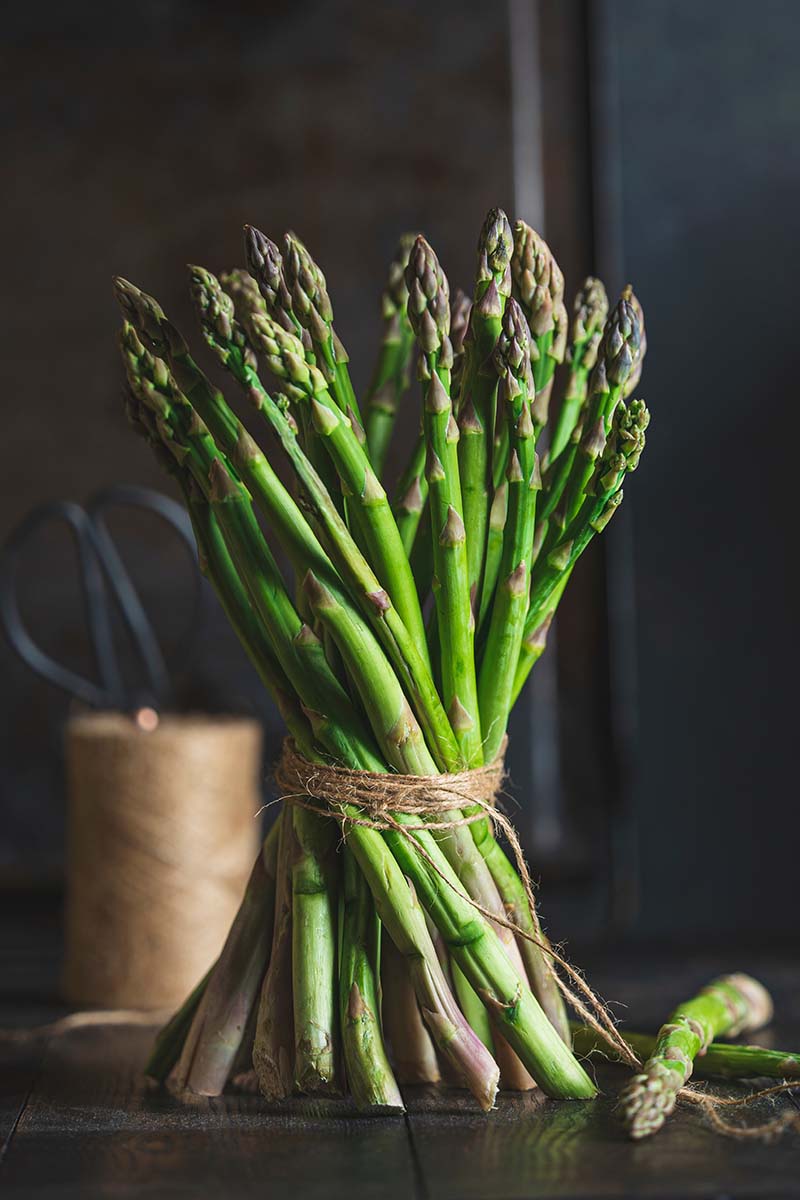 A close up vertical image of a bunch of freshly harvested asparagus spears tied together with string and set on a wooden surface.