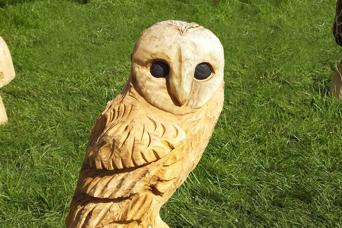 A close up horizontal image of a cute owl carved out of butternut wood set on a grassy lawn.