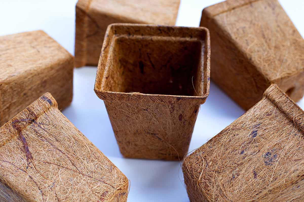 A close up horizontal image of a collection of biodegradable coconut coir seed starting pots.