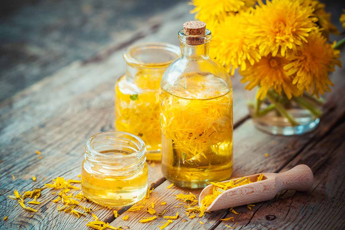 A close up horizontal image of a bottle of dandelion oil, a small jar, and a vase of flowers in the background.