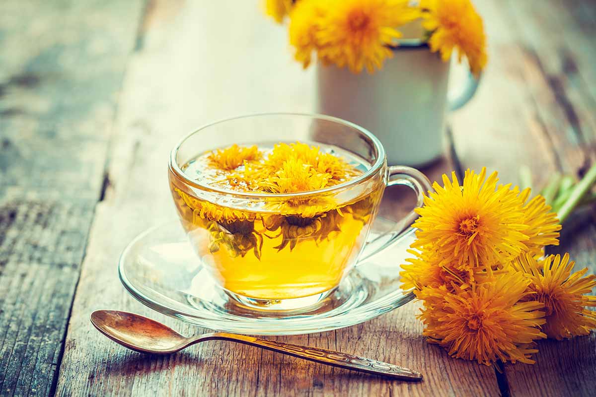 A close up horizontal image of a glass cup of dandelion flower tea set on a wooden surface.