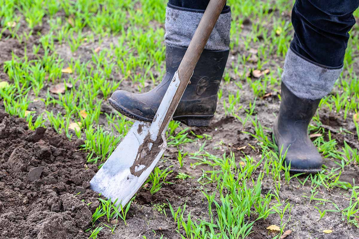 A horizontal image of a gardener digging the earth.