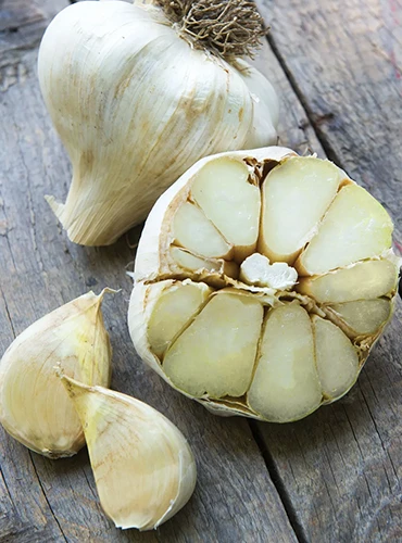 A close up of whole and half elephant garlic bulbs set on a wooden surface.