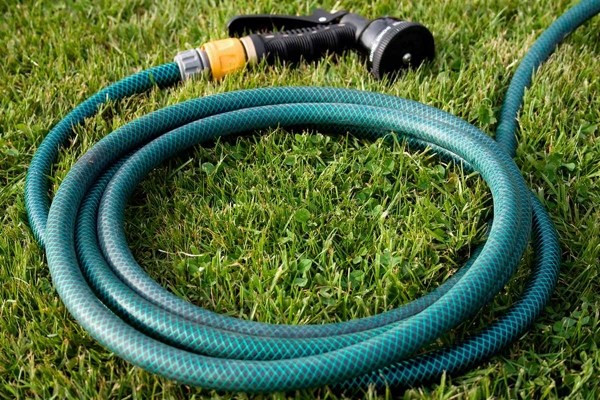 A close up horizontal image of a green and black garden hose with a spray nozzle coiled up on the lawn.