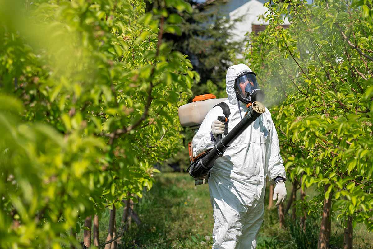 A horizontal image of a gardener dressed in a hazmat suit using a backpack sprayer to apply chemicals.