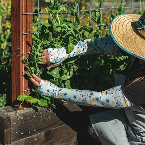 A close up square image of a gardener harvesting peas from a plant in the garden wearing a hat and Farmers Defense Sleeves.