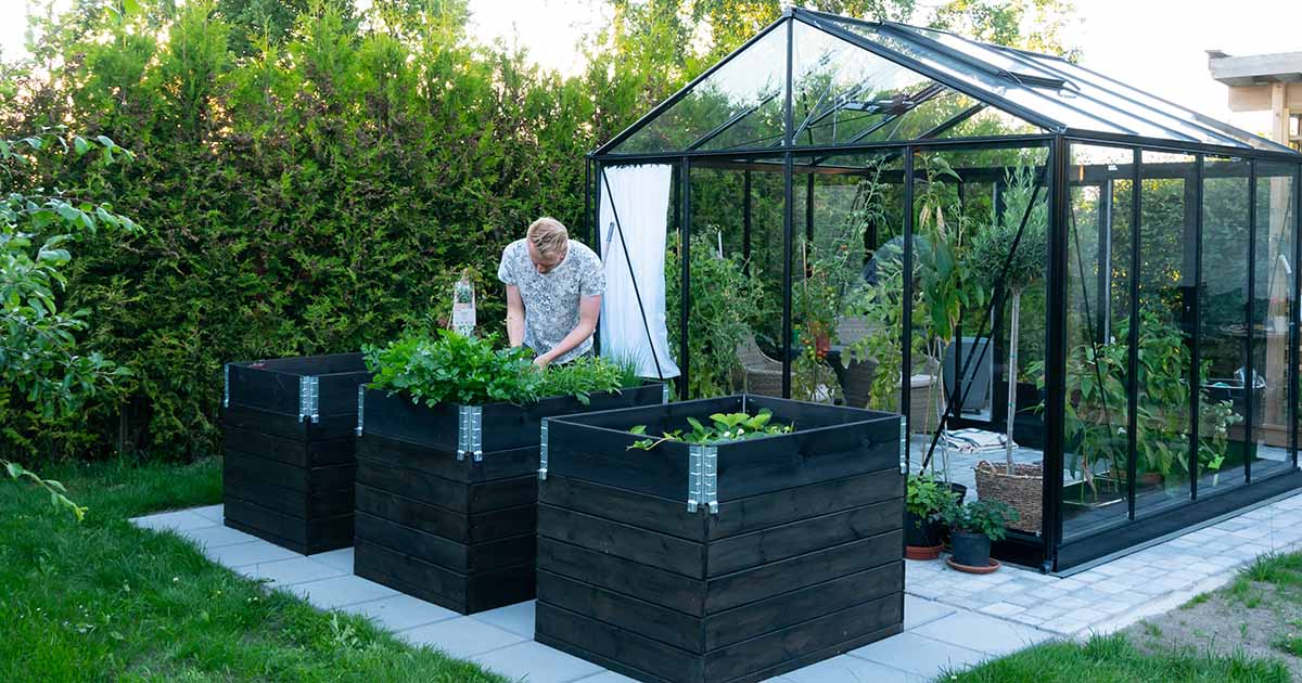 How to Avoid 11 Common Greenhouse Mistakes | Gardener's Path