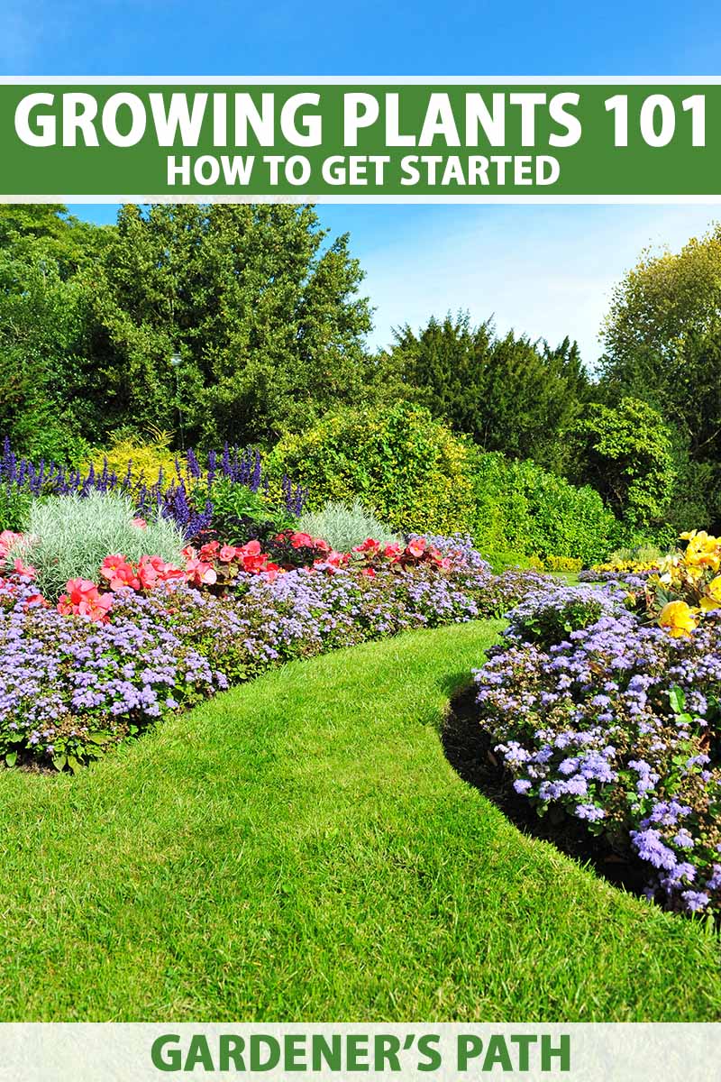 A vertical image of colorful garden borders flanking a lawn pathway with trees and blue sky in the background. To the top and bottom of the frame is green and white printed text.