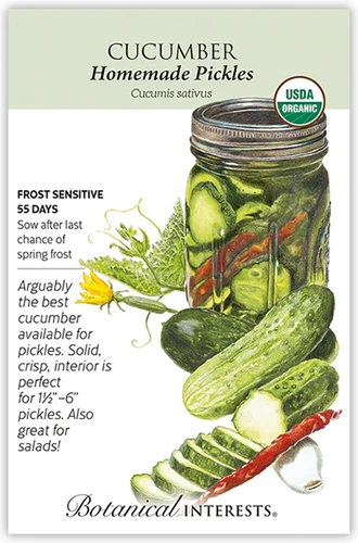 A close up of a packet of 'Homemade Pickles' cucumber seeds with text to the left of the frame and a hand-drawn illustration to the right.