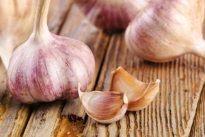 A close up horizontal image of bulbs and cloves of 'Chet's Italian Red' garlic set on a wooden surface.