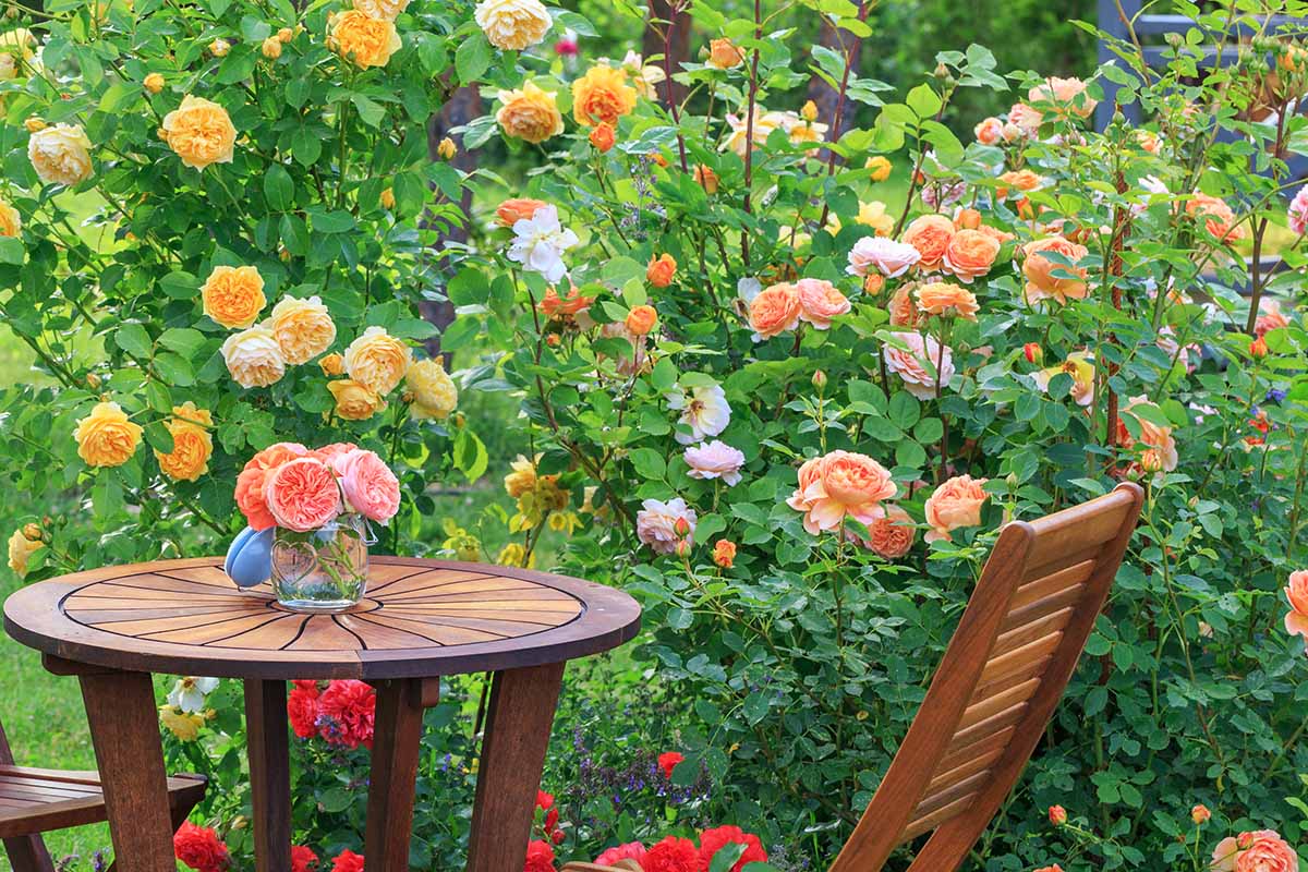 A horizontal image of a wooden table and chairs outdoors in the garden.
