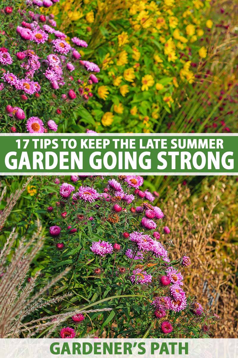 A vertical image of colorful flowers and perennials in the late summer garden. To the center and bottom of the frame is green and white printed text.