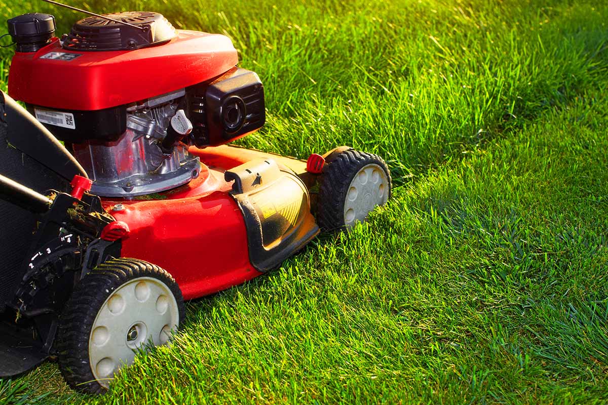 A close up horizontal image of a lawn mower cutting the grass.