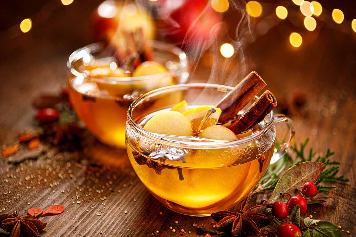 A close up horizontal image of two glasses of mulled cider with spices and fruits set on a wooden surface.