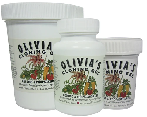 A close up of three bottles of Olivia's Cloning Gel isolated on a white background.