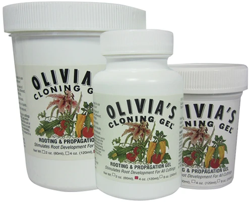 A close up of three bottles of Olivia's Cloning Gel isolated on a white background.