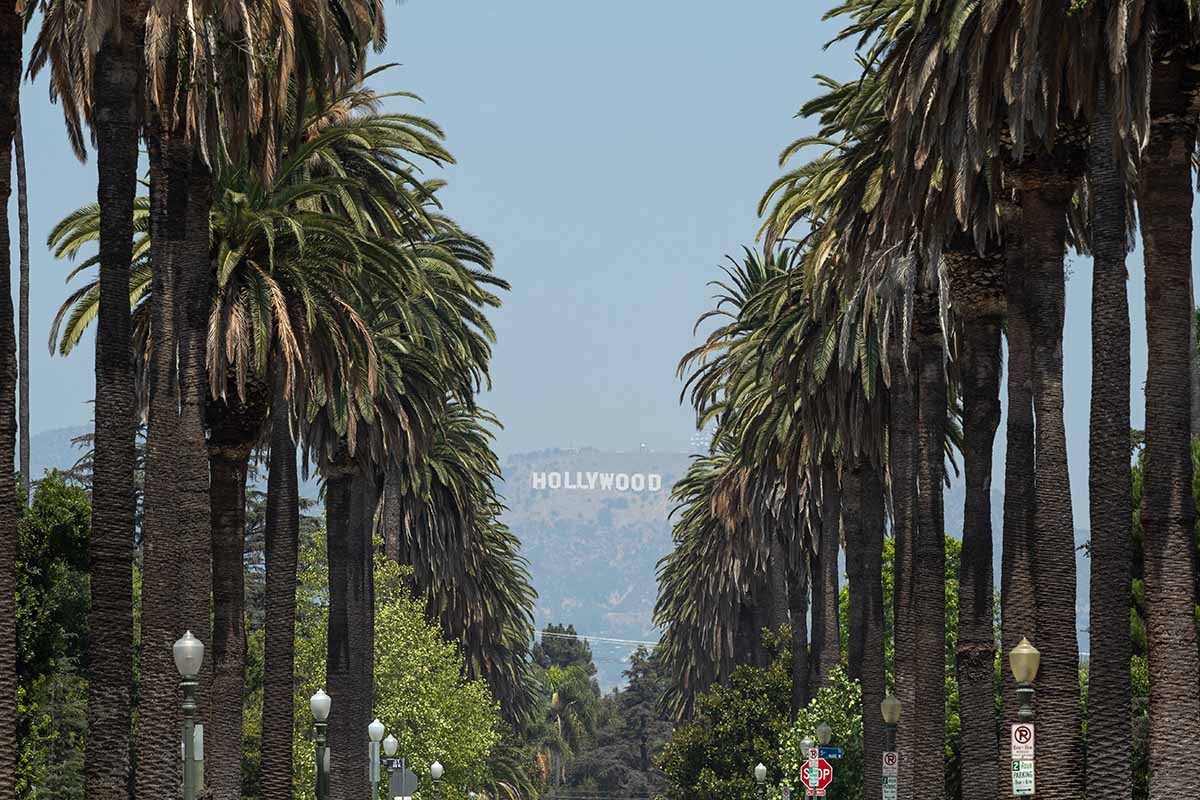 Uma imagem horizontal de uma rua com palmeiras em Los Angeles e o icônico letreiro de Hollywood ao fundo.