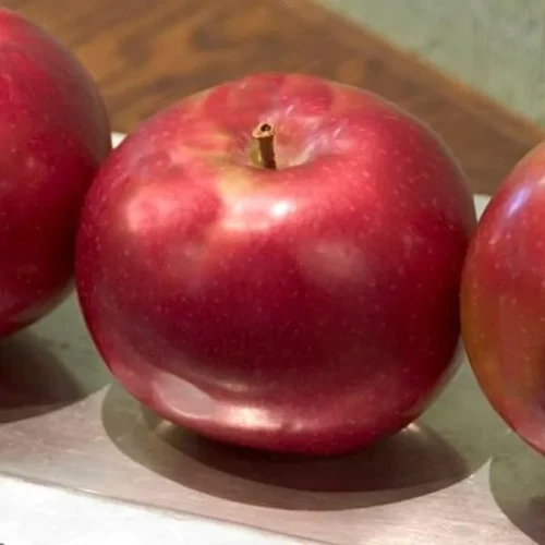 A square image of 'Red Prairie Spy' apples set on a wooden surface.